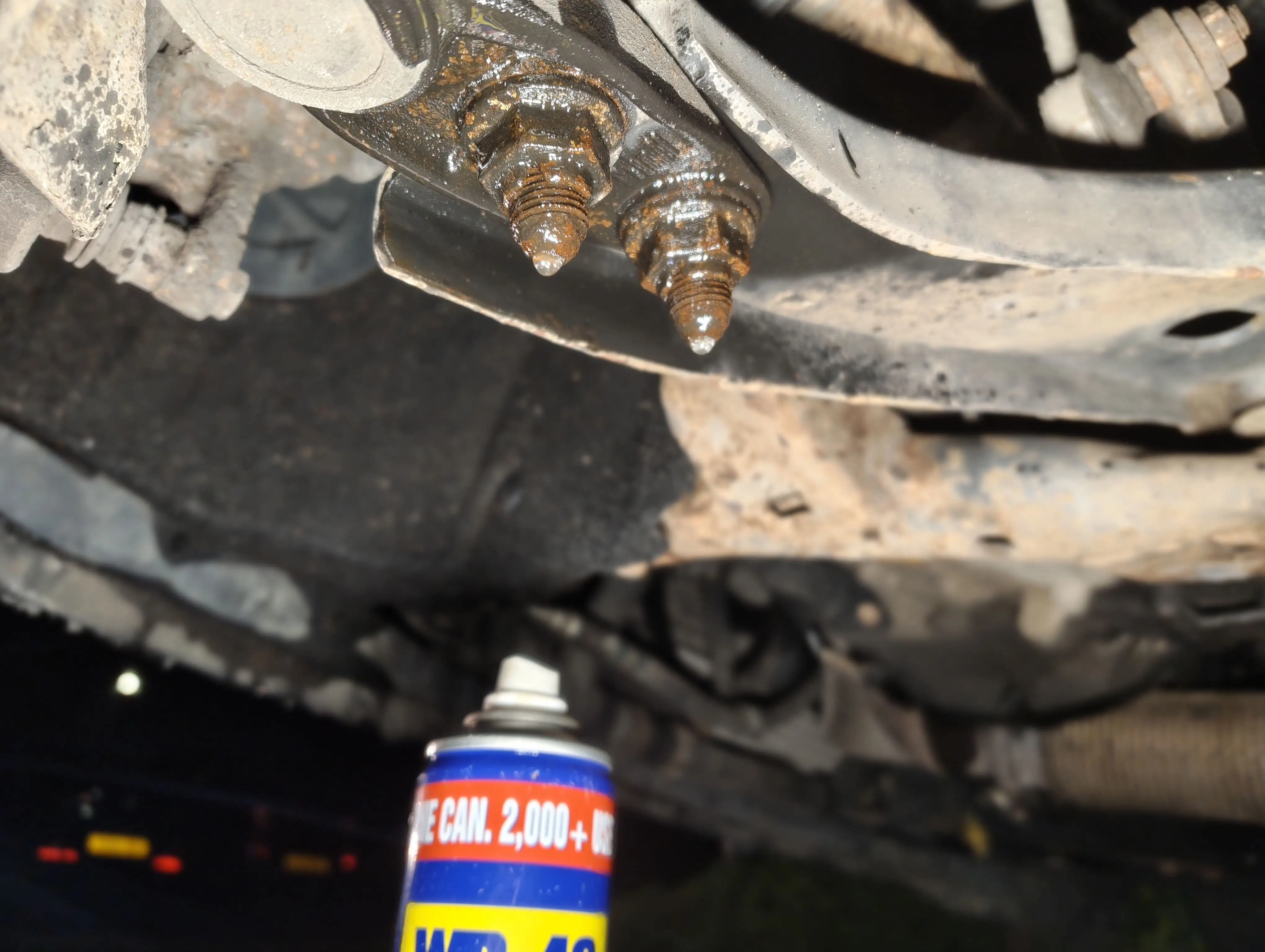 Spraying the front passenger-side lower ball joint nuts with WD-40